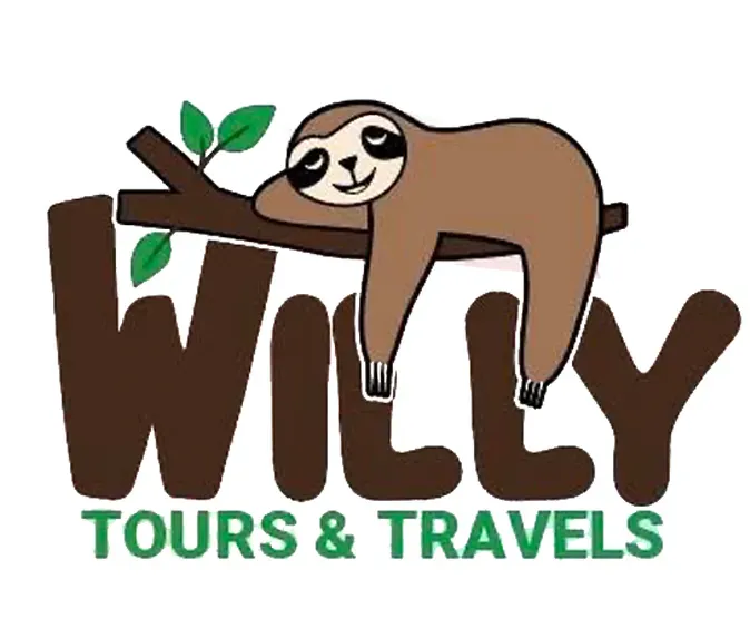 Willy Tours & Travels